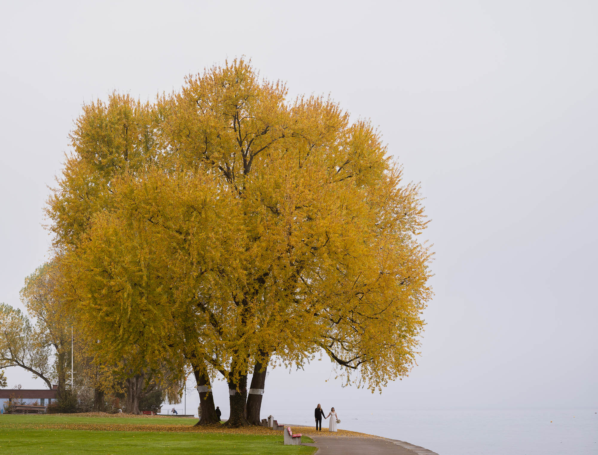 Export x3 1DX29318 Pano Hochzeit 2020 Monika & Sharru